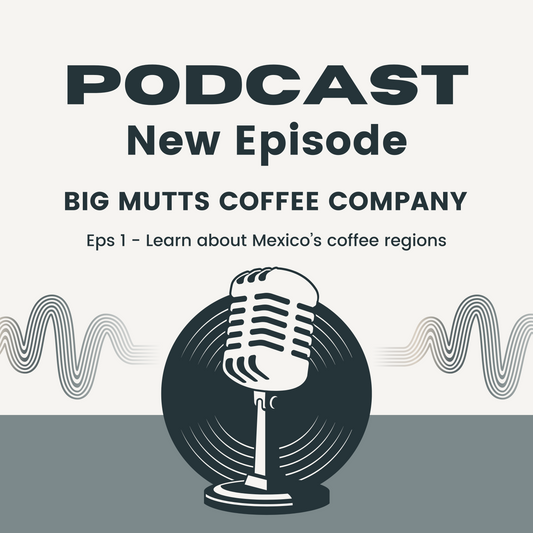 Learn about Mexican Coffee Region